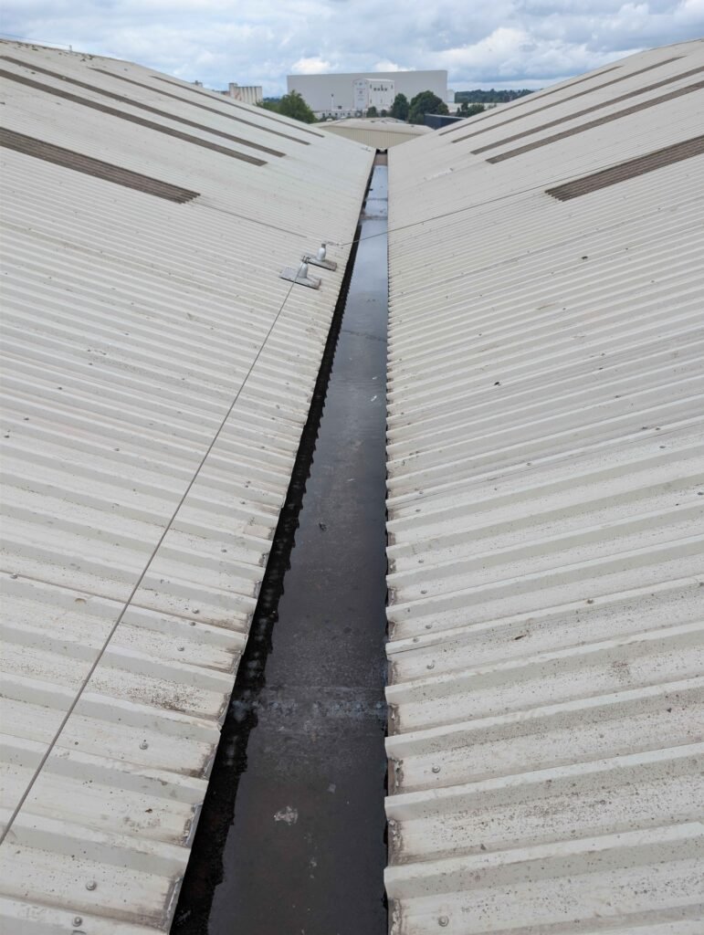 d park roof refurbishment